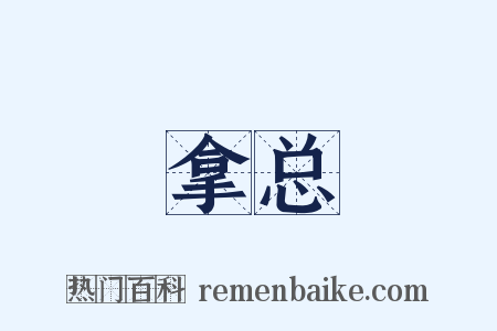 拿总是什么意思的图片